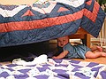 Where did Sierra go?  I can't see her.